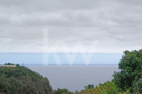 Helårsgrund i Santana, Madeira, Santana - € 100.000 | Ref: 1212-924 - foto 14