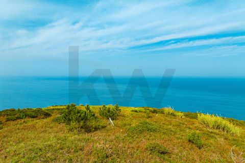 Helårsgrund i Calheta, Madeira, Calheta - € 800.000 | Ref: 1212-7252 - foto 16
