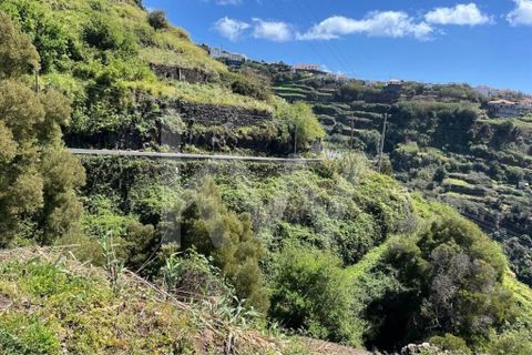 Helårsgrund i Calheta, Madeira, Calheta - € 55.000 | Ref: 1212-5519 - foto 4
