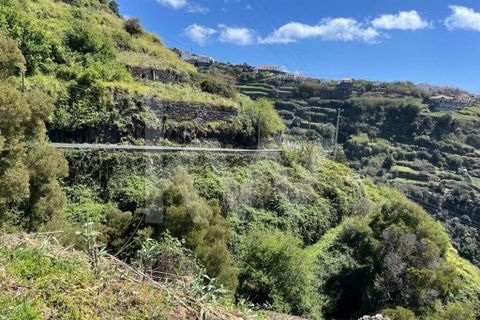 Helårsgrund i Calheta, Madeira, Calheta - € 55.000 | Ref: 1212-5519 - foto 5