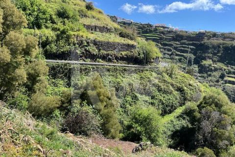 Helårsgrund i Calheta, Madeira, Calheta - € 55.000 | Ref: 1212-5519 - foto 9