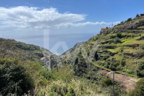 Helårsgrund i Calheta, Madeira, Calheta - € 55.000 | Ref: 1212-5519 - foto 10