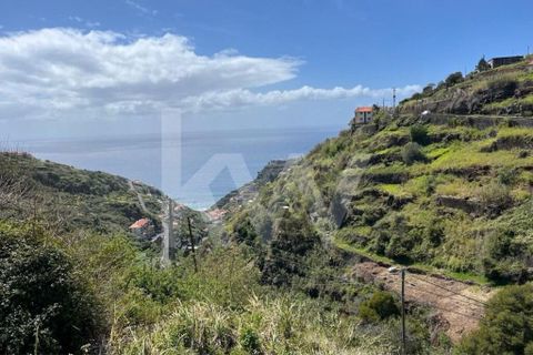 Helårsgrund i Calheta, Madeira, Calheta - € 55.000 | Ref: 1212-5519 - foto 12