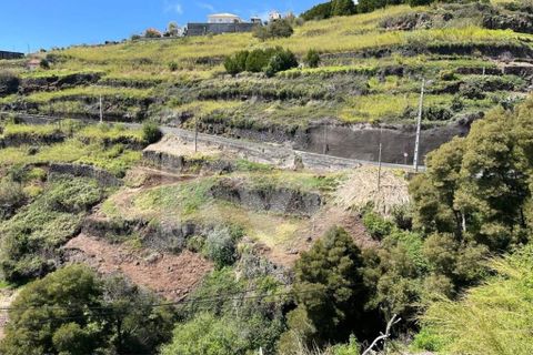 Helårsgrund i Calheta, Madeira, Calheta - € 55.000 | Ref: 1212-5519 - foto 13