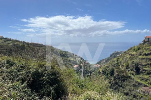 Helårsgrund i Calheta, Madeira, Calheta - € 55.000 | Ref: 1212-5519 - foto 14