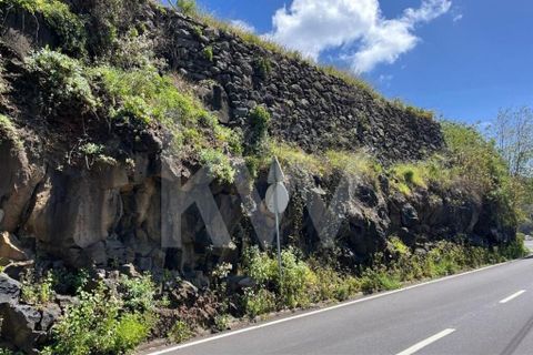 Helårsgrund i Calheta, Madeira, Calheta - € 55.000 | Ref: 1212-5519 - foto 17