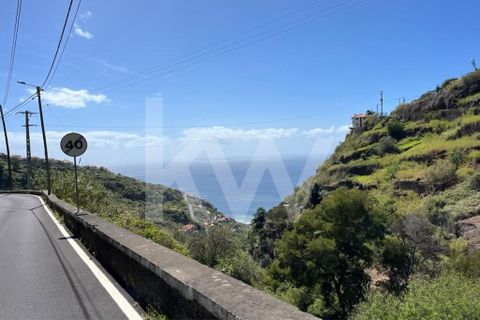 Helårsgrund i Calheta, Madeira, Calheta - € 55.000 | Ref: 1212-5519 - foto 20