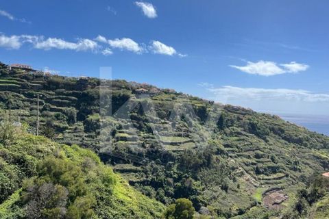 Helårsgrund i Calheta, Madeira, Calheta - € 55.000 | Ref: 1212-5519 - foto 22