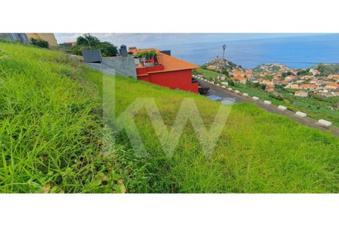 Helårsgrund i Ponta do Sol, Madeira, Ponta do Sol - € 98.500 | Ref: 1212-6906 - foto 3