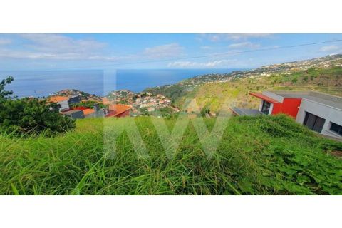 Helårsgrund i Ponta do Sol, Madeira, Ponta do Sol - € 98.500 | Ref: 1212-6906 - foto 4