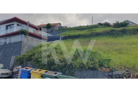 Helårsgrund i Ponta do Sol, Madeira, Ponta do Sol - € 98.500 | Ref: 1212-6906 - foto 9