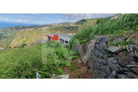 Helårsgrund i Ponta do Sol, Madeira, Ponta do Sol - € 98.500 | Ref: 1212-6906 - foto 10