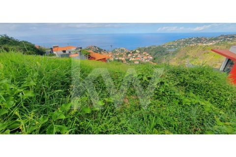 Helårsgrund i Ponta do Sol, Madeira, Ponta do Sol - € 98.500 | Ref: 1212-6906 - foto 12