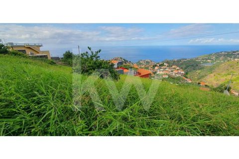Helårsgrund i Ponta do Sol, Madeira, Ponta do Sol - € 98.500 | Ref: 1212-6906 - foto 13