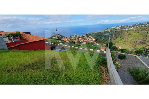 Helårsgrund i Ponta do Sol, Madeira, Ponta do Sol - € 98.500 | Ref: 1212-6906 - foto 14