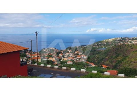 Helårsgrund i Ponta do Sol, Madeira, Ponta do Sol - € 98.500 | Ref: 1212-6906 - foto 16