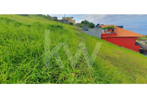 Helårsgrund i Ponta do Sol, Madeira, Ponta do Sol - € 98.500 | Ref: 1212-6906 - foto 17