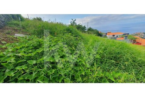 Helårsgrund i Ponta do Sol, Madeira, Ponta do Sol - € 98.500 | Ref: 1212-6906 - foto 18