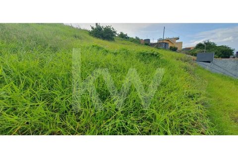 Helårsgrund i Ponta do Sol, Madeira, Ponta do Sol - € 98.500 | Ref: 1212-6906 - foto 19