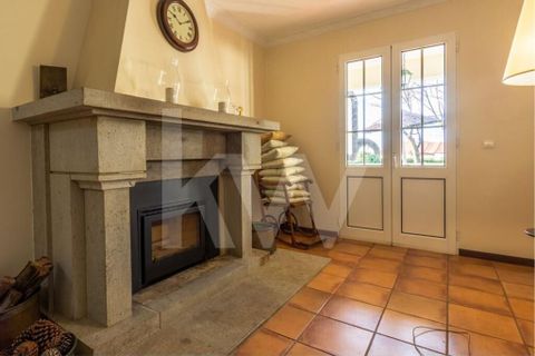 Farm i Ponta do Sol, Madeira, Ponta do Sol - € 880.000 | Ref: 1212-5891 - foto 16