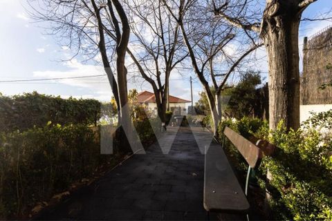 Farm i Ponta do Sol, Madeira, Ponta do Sol - € 880.000 | Ref: 1212-5891 - foto 23