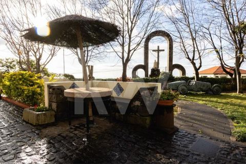 Farm i Ponta do Sol, Madeira, Ponta do Sol - € 880.000 | Ref: 1212-5891 - foto 27