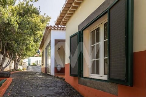 Farm i Ponta do Sol, Madeira, Ponta do Sol - € 880.000 | Ref: 1212-5891 - foto 28