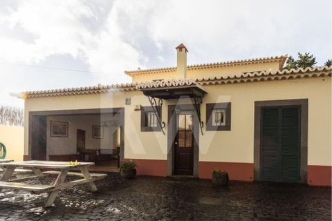 Farm i Ponta do Sol, Madeira, Ponta do Sol - € 880.000 | Ref: 1212-5891 - foto 31