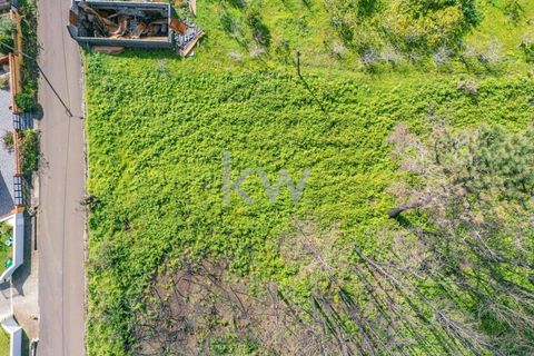 Helårsgrund i Calheta, Madeira, Calheta - € 90.000 | Ref: KWPT-003828 - foto 22