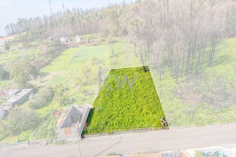 Helårsgrund i Calheta, Madeira, Calheta - € 90.000 | Ref: KWPT-003828 - foto 16