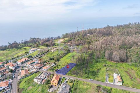 Helårsgrund i Calheta, Madeira, Calheta - € 90.000 | Ref: KWPT-003828 - foto 15