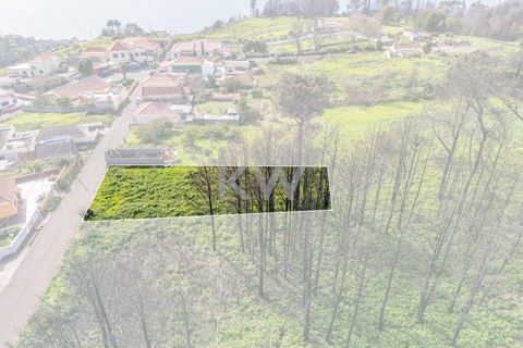 Helårsgrund i Calheta, Madeira, Calheta - € 90.000 | Ref: KWPT-003828 - foto 17