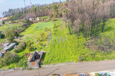 Helårsgrund i Calheta, Madeira, Calheta - € 90.000 | Ref: KWPT-003828 - foto 23