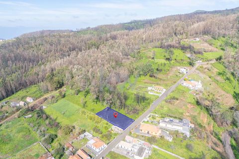Helårsgrund i Calheta, Madeira, Calheta - € 90.000 | Ref: KWPT-003828 - foto 31