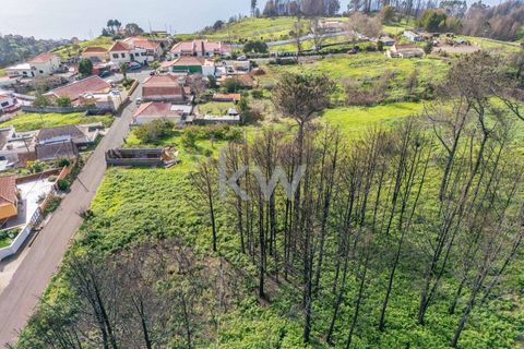 Helårsgrund i Calheta, Madeira, Calheta - € 90.000 | Ref: KWPT-003828 - foto 33