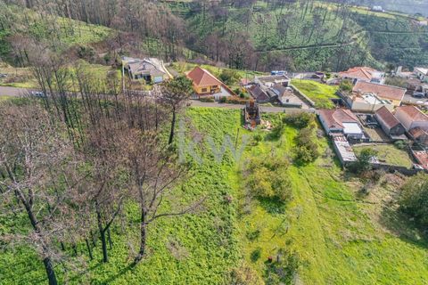 Helårsgrund i Calheta, Madeira, Calheta - € 90.000 | Ref: KWPT-003828 - foto 34