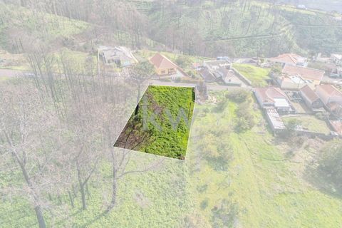 Helårsgrund i Calheta, Madeira, Calheta - € 90.000 | Ref: KWPT-003828 - foto 35