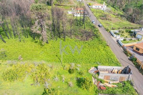Helårsgrund i Calheta, Madeira, Calheta - € 90.000 | Ref: KWPT-003828 - foto 36