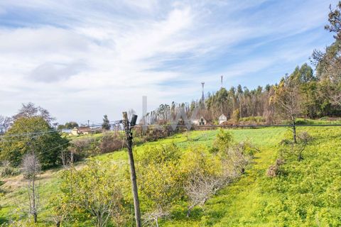 Helårsgrund i Calheta, Madeira, Calheta - € 90.000 | Ref: KWPT-003828 - foto 40