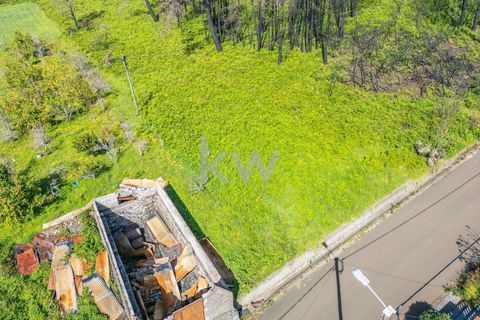 Helårsgrund i Calheta, Madeira, Calheta - € 90.000 | Ref: KWPT-003828 - foto 41