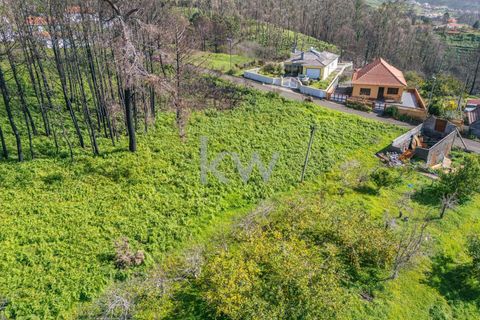 Helårsgrund i Calheta, Madeira, Calheta - € 90.000 | Ref: KWPT-003828 - foto 42