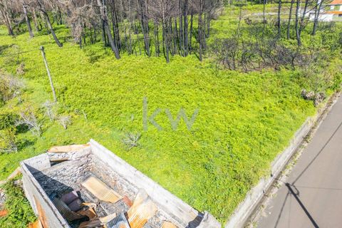 Helårsgrund i Calheta, Madeira, Calheta - € 90.000 | Ref: KWPT-003828 - foto 43