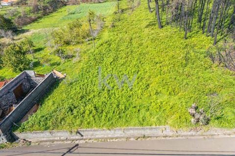 Helårsgrund i Calheta, Madeira, Calheta - € 90.000 | Ref: KWPT-003828 - foto 44