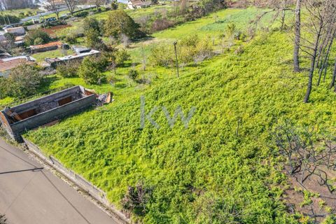 Helårsgrund i Calheta, Madeira, Calheta - € 90.000 | Ref: KWPT-003828 - foto 45