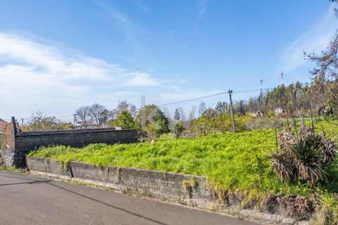 Helårsgrund i Calheta, Madeira, Calheta - € 90.000 | Ref: KWPT-003828 - foto 46