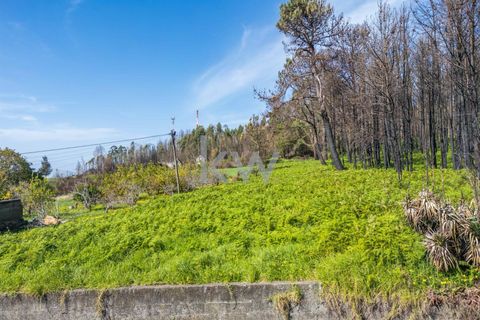 Helårsgrund i Calheta, Madeira, Calheta - € 90.000 | Ref: KWPT-003828 - foto 47