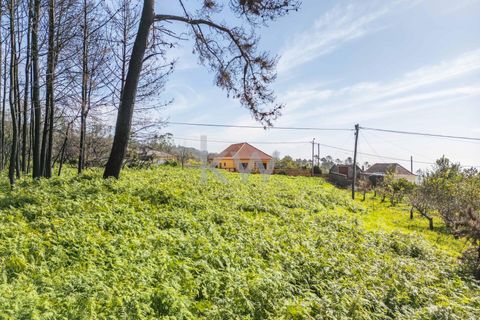 Helårsgrund i Calheta, Madeira, Calheta - € 90.000 | Ref: KWPT-003828 - foto 48