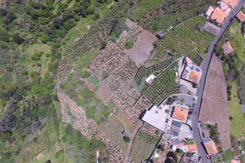 Byhus i Ponta do Sol, Madeira, Ponta do Sol - € 1.750.000 | Ref: KWPT-001535 - foto 12