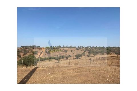Farm i Vila Nova de Sao Bento e Vale de Vargo, Beja, Vila Nova de Sao Bento e Vale de Vargo - € 290.000 | Ref: FIN_127 - foto 3