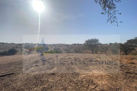 Farm i Vila Nova de Sao Bento e Vale de Vargo, Beja, Vila Nova de Sao Bento e Vale de Vargo - € 290.000 | Ref: FIN_127 - foto 4